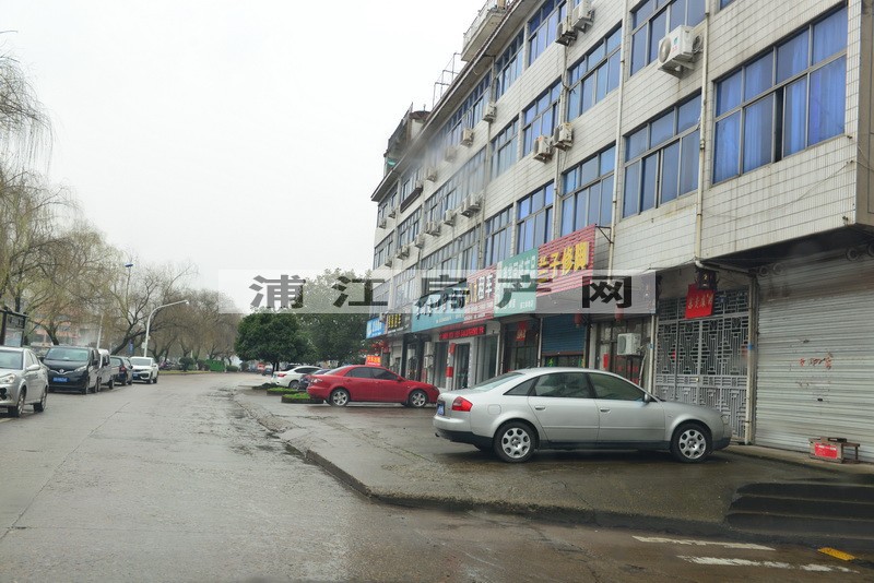實(shí)景圖