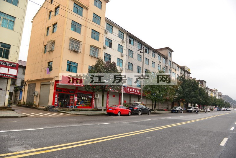 實景圖