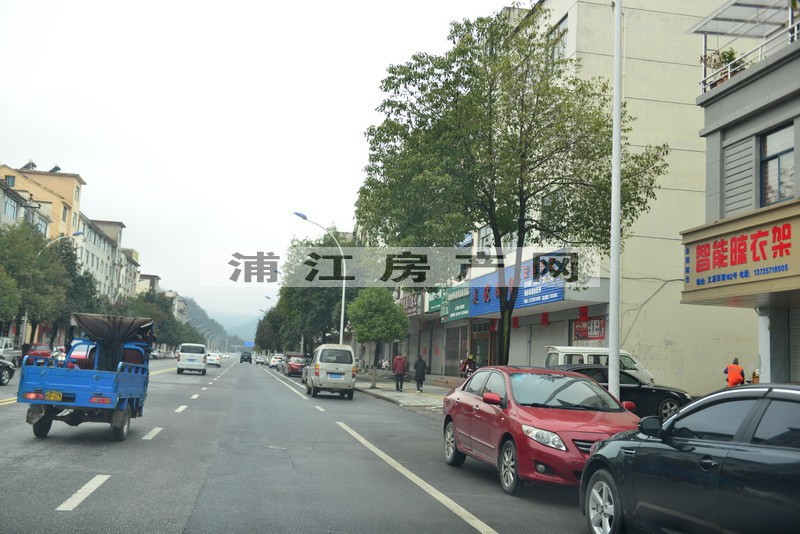 實景圖