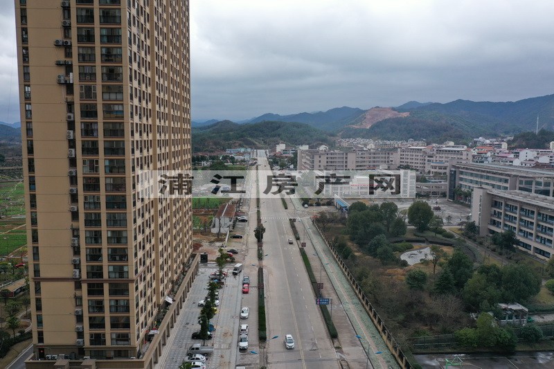 實景圖