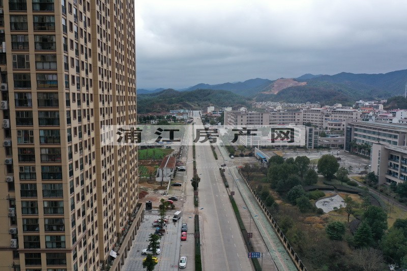 實景圖