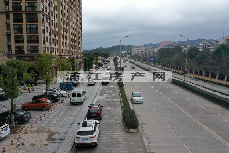 實景圖
