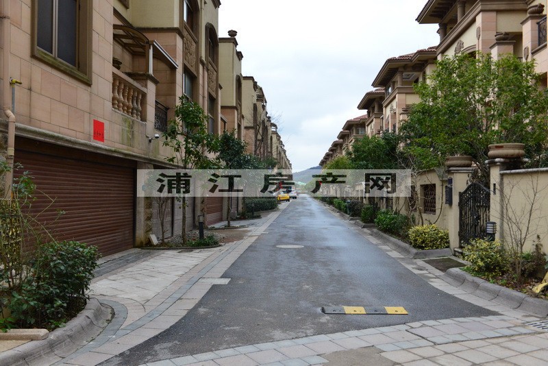 實景圖