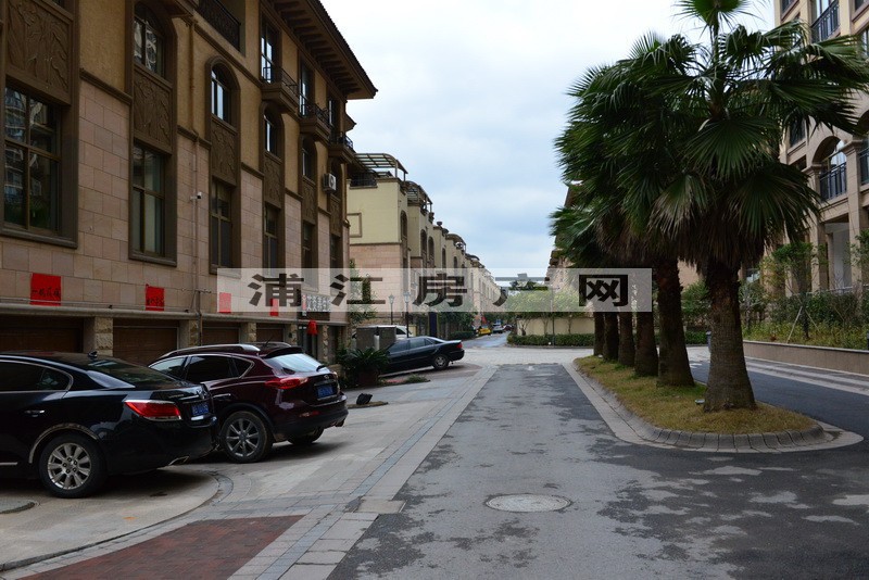 實景圖