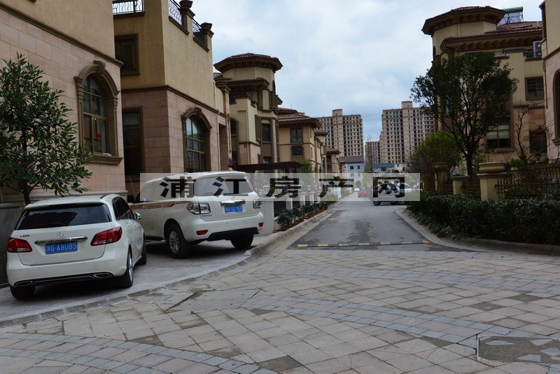 實景圖