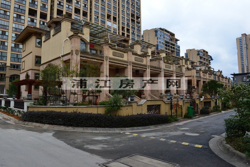 實景圖
