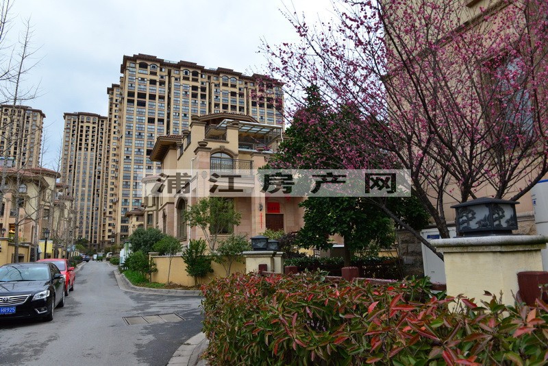實景圖