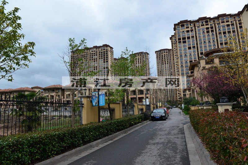 實景圖