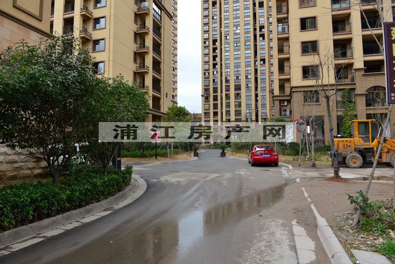 實景圖
