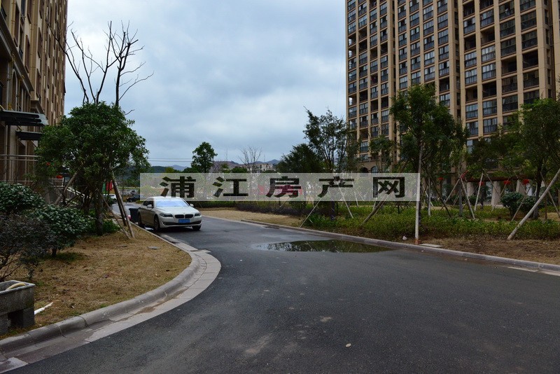 實景圖