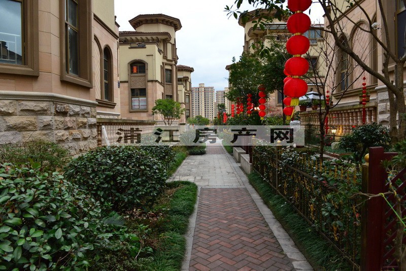 實景圖