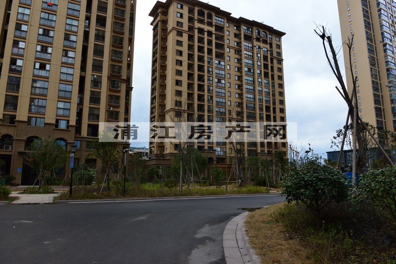實景圖