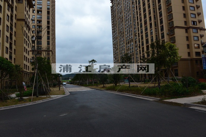 實景圖