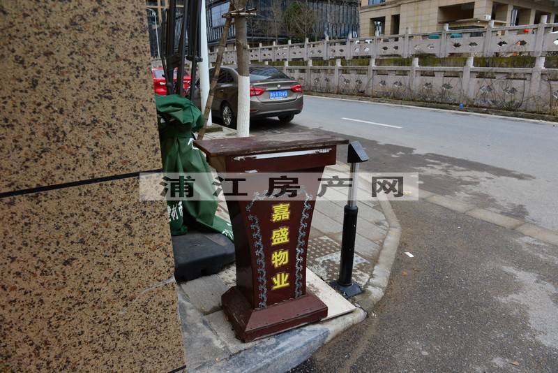 實景圖