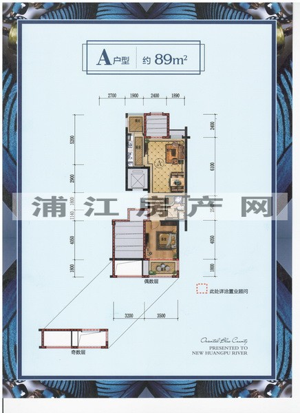 實景圖