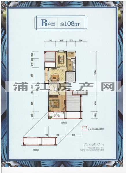 實景圖
