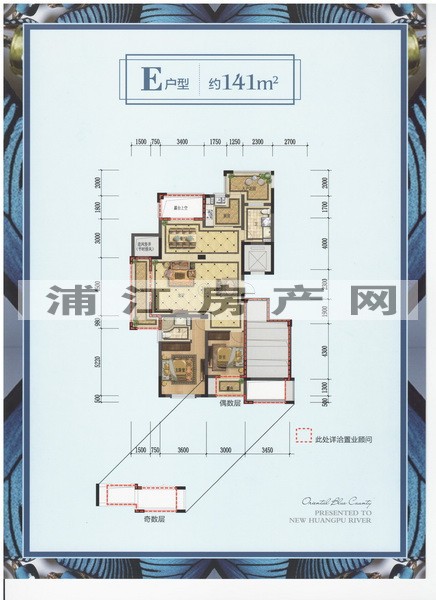 實景圖