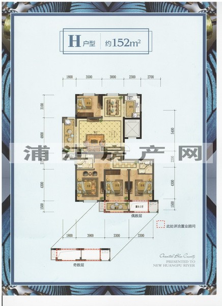 實景圖
