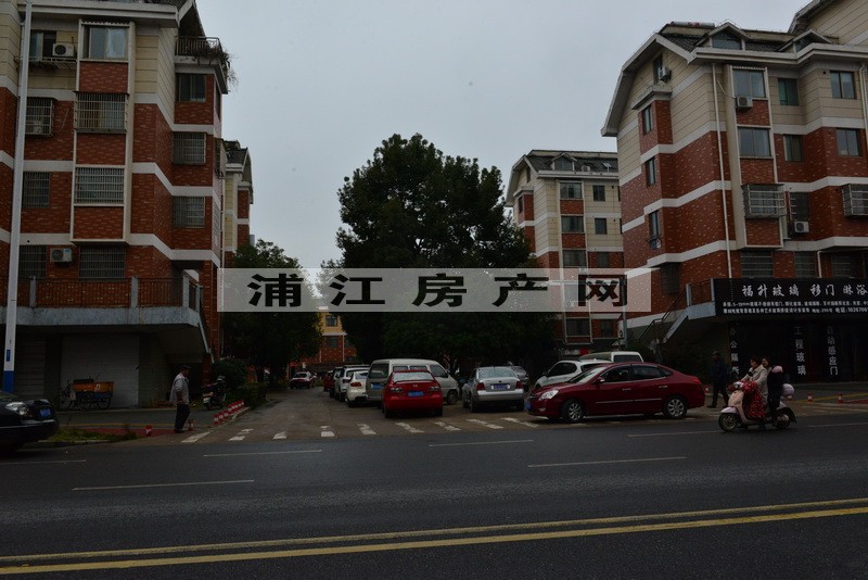 實景圖
