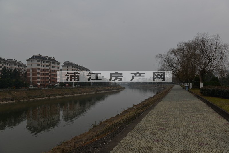 實景圖