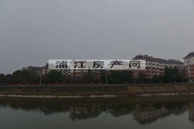 實景圖