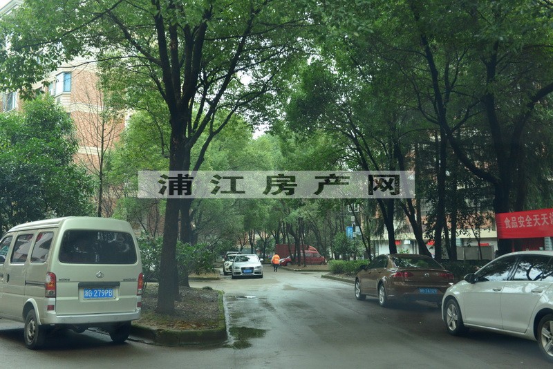 實景圖