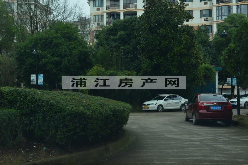 實景圖