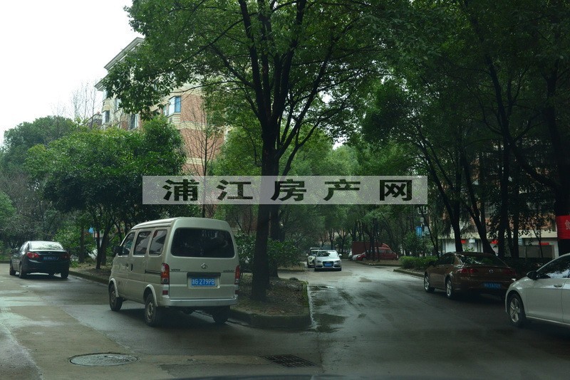 實景圖