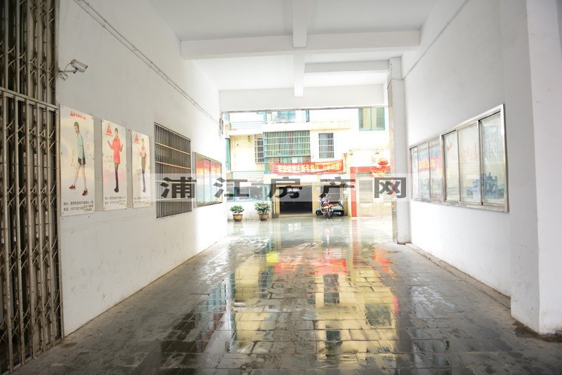 實景圖