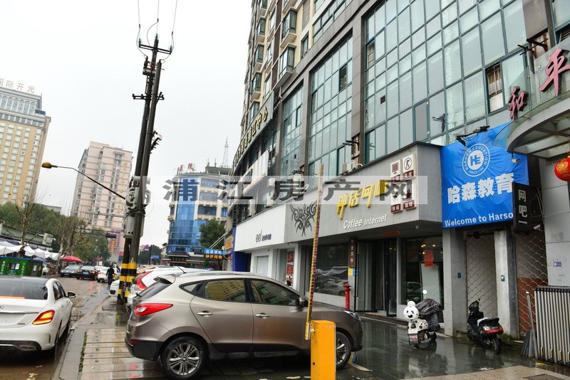 實景圖