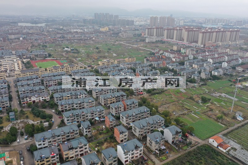 實(shí)景圖