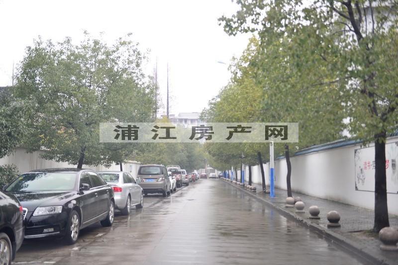 實景圖