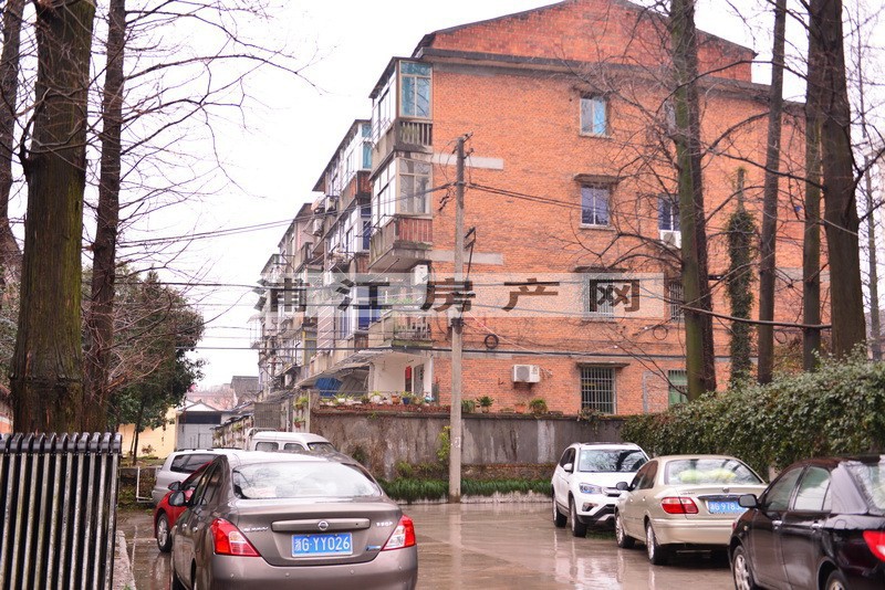 實景圖