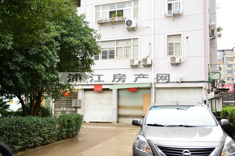 實(shí)景圖