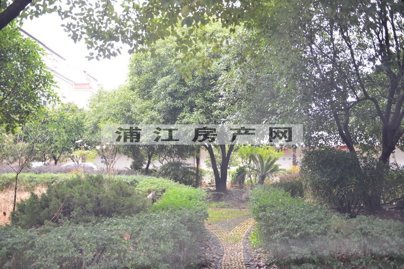 實(shí)景圖
