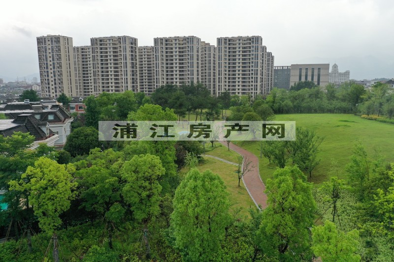實景圖