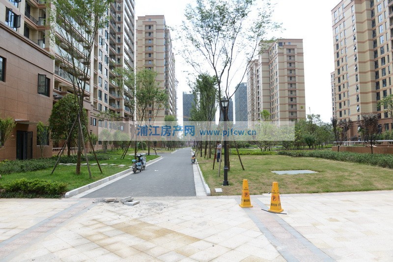 實景圖