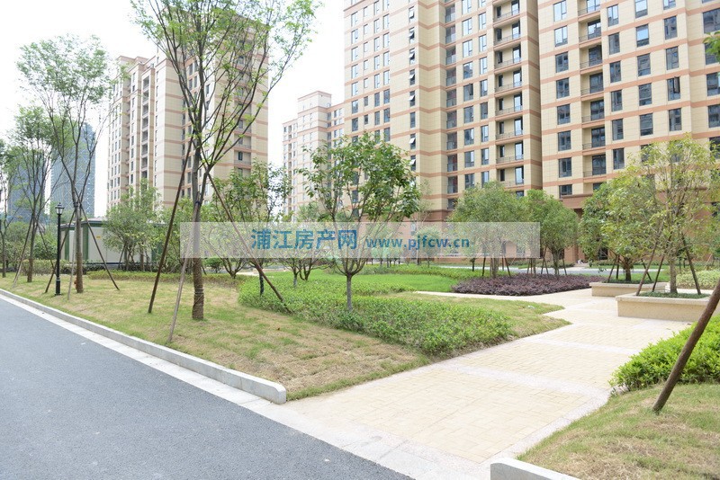 實景圖