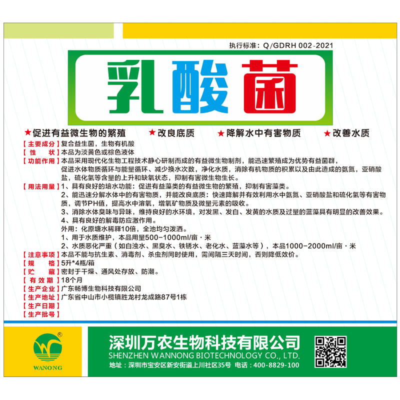 乳酸菌